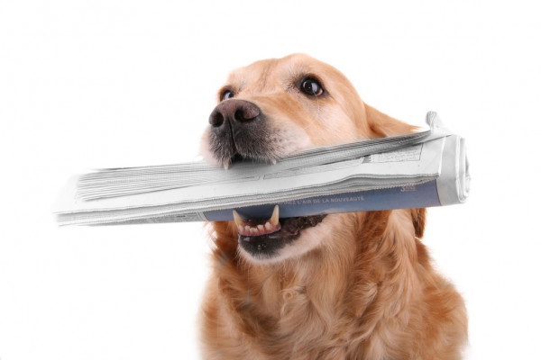 На Android появился долгожданный почтовый клиент, из которого не получится выгнать россиян. Это мощная замена Outlook и отечественным приложениям