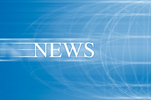 Суд 18 июня начнет рассмотрение иска о взыскании земли с бывшего владельца ЧЭМК