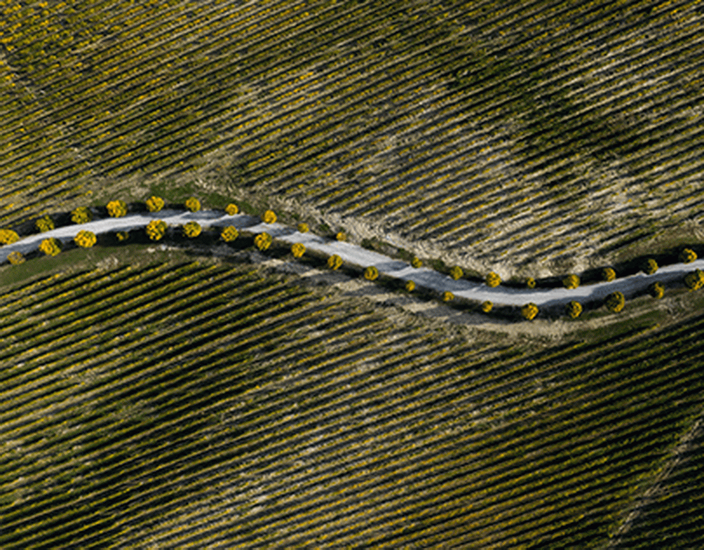 Орбан: Евросоюз может завершить конфликт на Украине за сутки, но он хочет войны