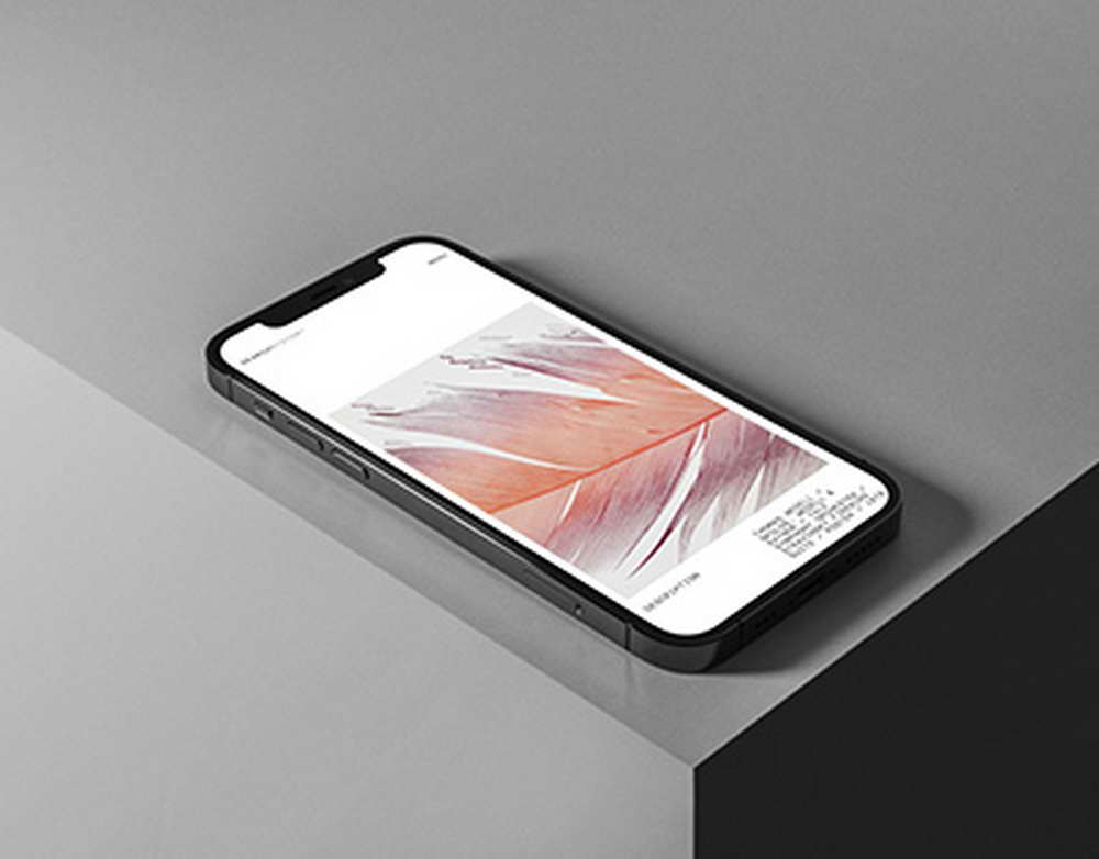 Старт продаж OnePlus Nord 5, CE5 и Buds 4 в России